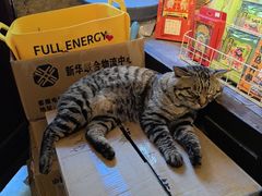 -正阳书局(西四南大街店)