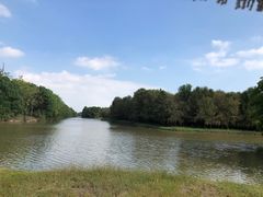 -上海海湾国家森林公园