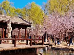 -三里河公园