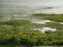 -风云岭森林公园