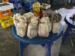 -仙蘑洞