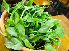 豌豆尖-泸州酸菜豆花火锅川师店
