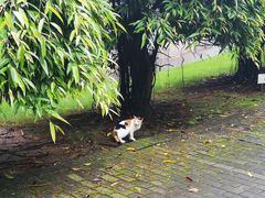 -厦门国家会计学院