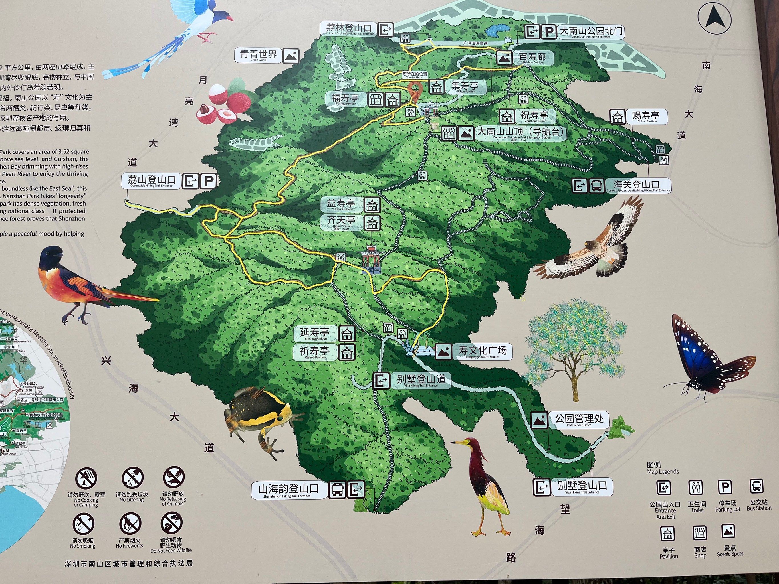 南山公园