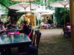 -Fern Forest Cafe