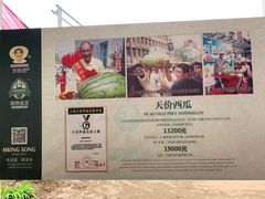 -西瓜小镇