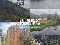 -海南热带雨林国家公园吊罗山景区