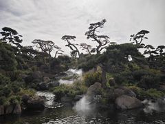 -罗红摄影艺术馆