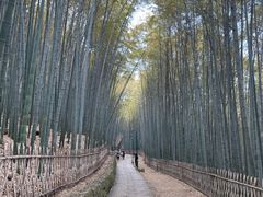 -宝石山
