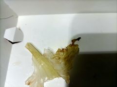 -肯德基(西安电子城店)