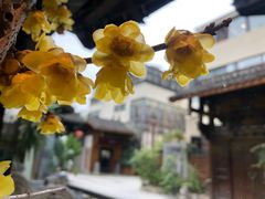 -都氏家DUSJOY(翡翠城店)