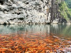 -楠溪江风景名胜区