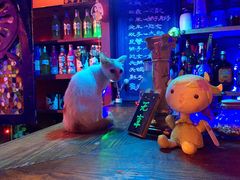 -星宿秘码(鼓浪屿老店)