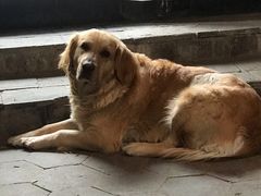 -浔岚云舍mist静谧观景美宿(丽江古城店)