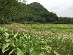 -贵阳市花溪国家城市湿地公园