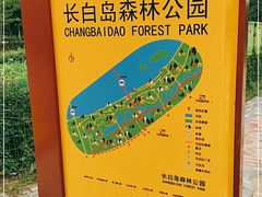 -长白岛森林公园