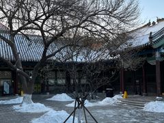 -张学良旧居陈列馆