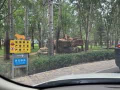 -秦皇岛野生动物园
