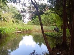 -西溪国家湿地公园