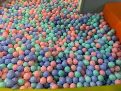 -酷嗒动物文化乐园(cutezoo西溪乐天城店)