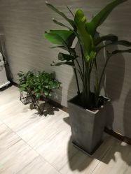 点击看大图 -苑苑vbeauty科技美容SPA