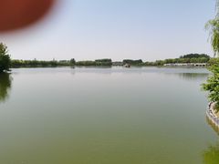 -大兴滨河森林公园