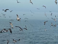 -拓恩帆船俱乐部