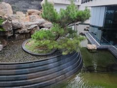 -芳草地度假酒店·野炉中餐厅
