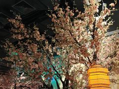 -绿茶餐厅(昌平悦荟店)