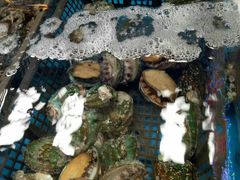 -韩家墅海吉星农产品批发市场