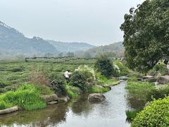 -中国茶叶博物馆(双峰馆区)