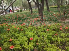 -迎泽公园