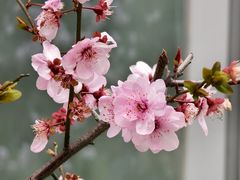 -外高桥保税区南(地铁站)