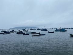 -海源公园