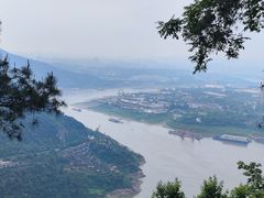 -铁山坪森林公园