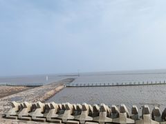 -南汇嘴观海公园