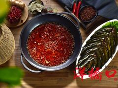 黄辣丁鲜鱼锅-小小河边鱼(天润城店)