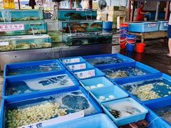 -旗鱼海番村(Orang Asli)