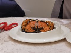 -新光酒家·河豚·海鲜·蟹料理(浦东店)