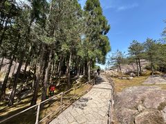 -玉苍山国家森林公园