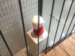 -大树餐厅(红旗街万达店)