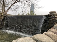 -郑东新区湿地公园