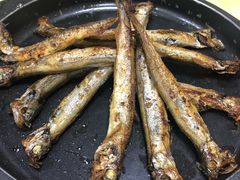 -故乡明太鱼屋(航北路店)