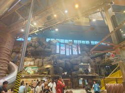 -卡通尼·Safari非洲探索乐园·生日会(金桥国际商业广场店)