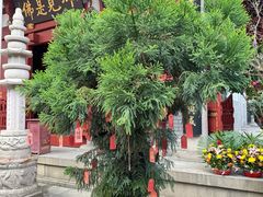 -叩齿古寺