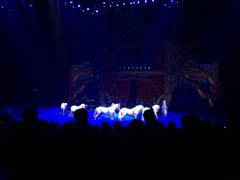 -珠海横琴长隆《卡卡虎奇遇记》