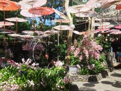 -海口观澜湖火山温泉谷