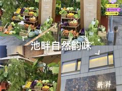-蘑界·野生菌火锅(深业上城店)