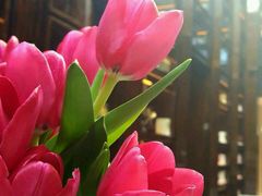 -行者书屋大堂吧 ·下午茶(南京圣和府邸酒店)