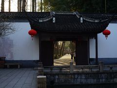 -上海醉白池公园